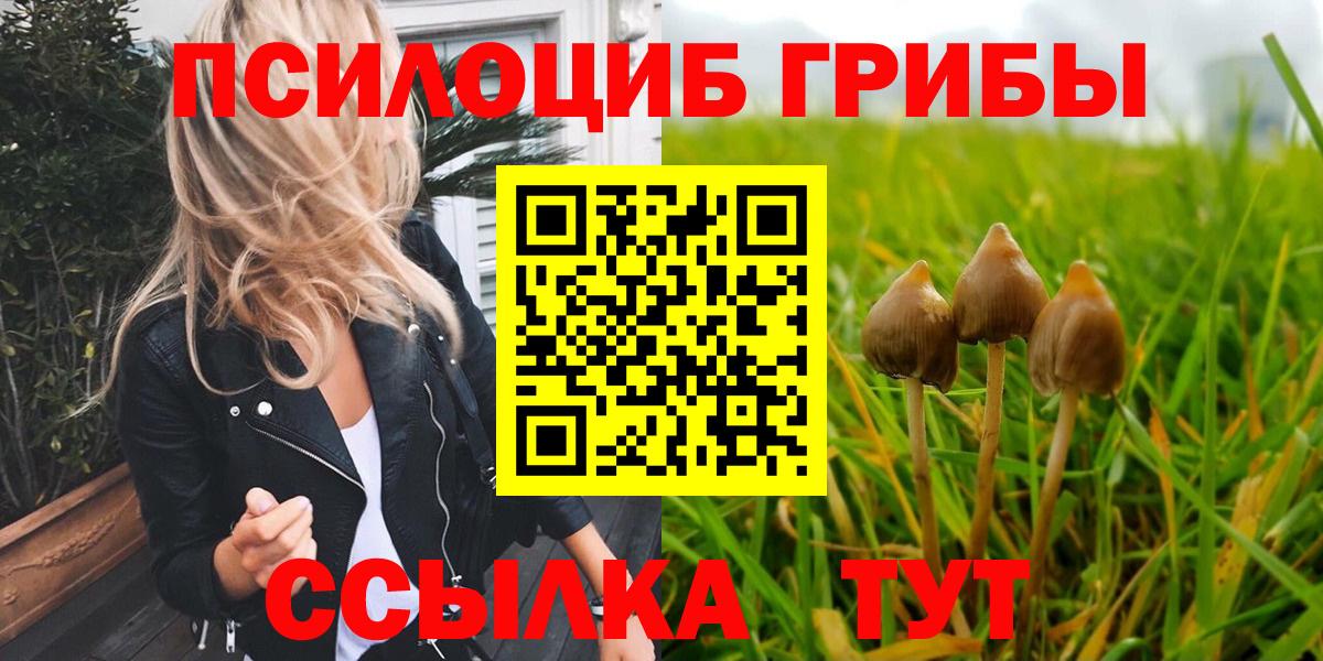 Галлюциногенные грибы Magic Shrooms Алапаевск